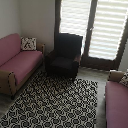 Bel Appartement, Grand Balcon Et Parking Prive Sélestat Exteriör bild